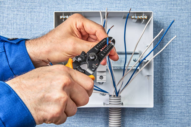 Best Electrical Maintenance Services  in Sylvan Lake, MI